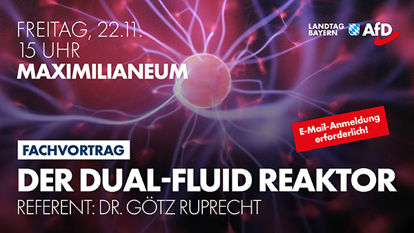 Der Dual-Fluid Reaktor 1 dualfluidreaktor.jpg