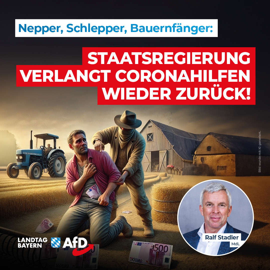 20240821 2 Stadler Coronahilfen2