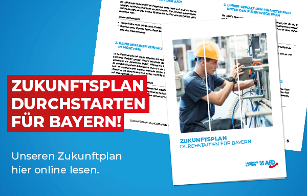 AfD Fraktion im Bayerischen Landtag 1 Grafik Zukunftsprogramm